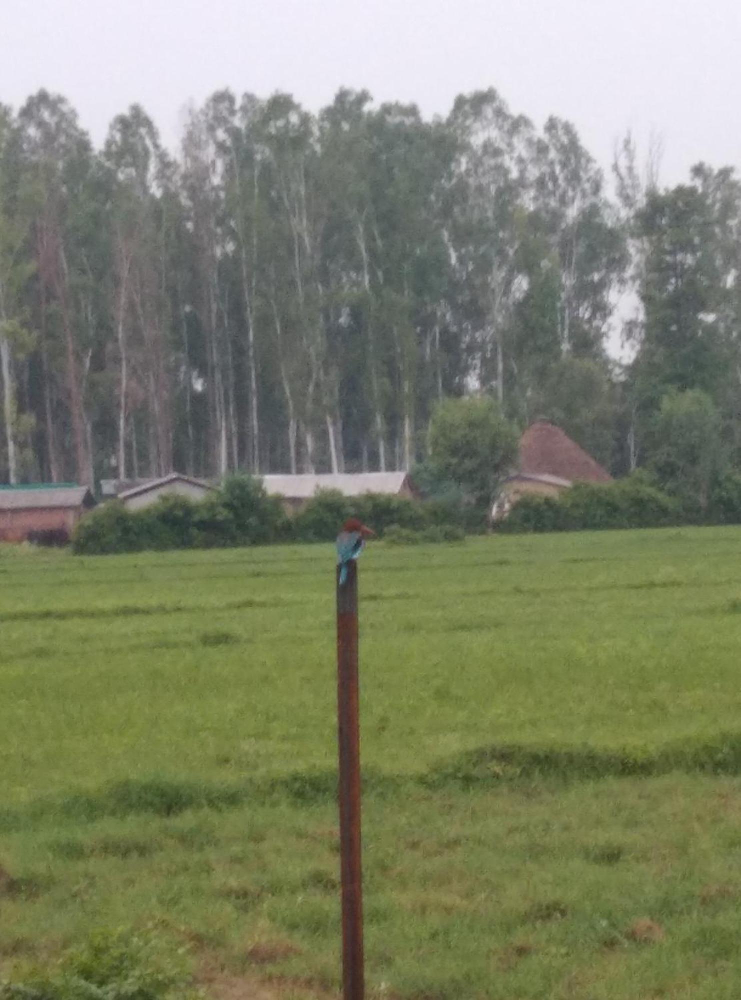 Corbett Bhavesh Home Stay Jhirna Ruang foto